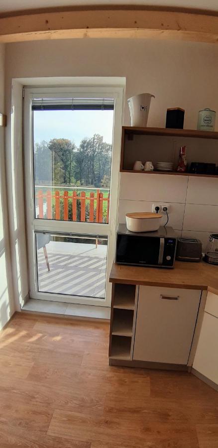 Three Apartment Františkovy Lázně エクステリア 写真